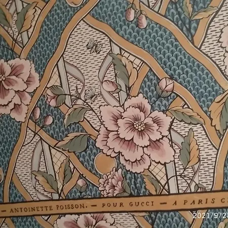 Daire Sandy's Superior Epidaurus