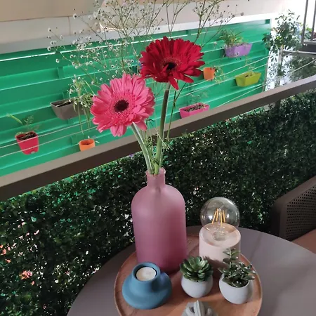 Sandy's Superior Epidaurus